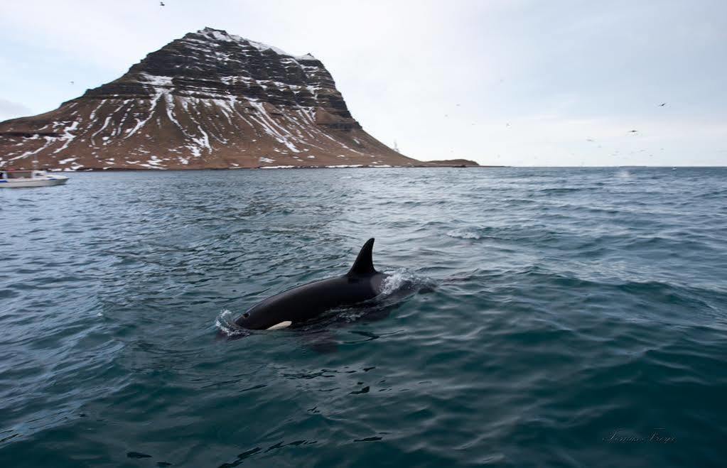 Grundarfjordur Guesthouse And Apartments Luaran gambar